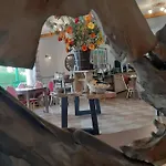 德拉鲁特维特酒店 2*