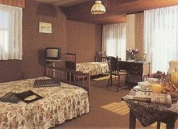 Hotel De La Route Verte Gérardmer