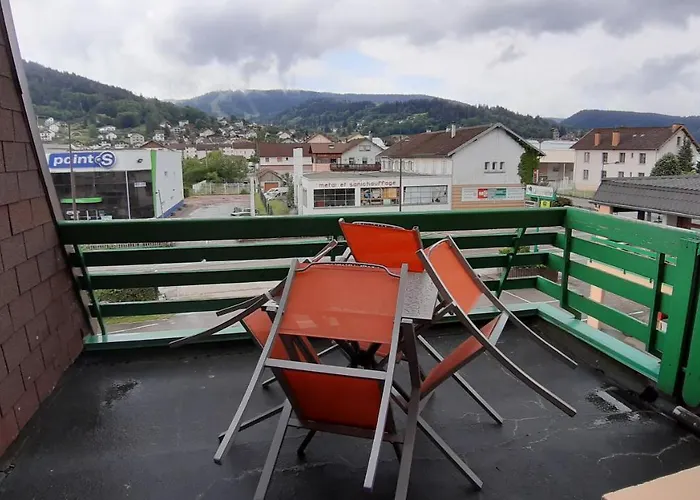 酒店 德拉鲁特维特酒店 2*