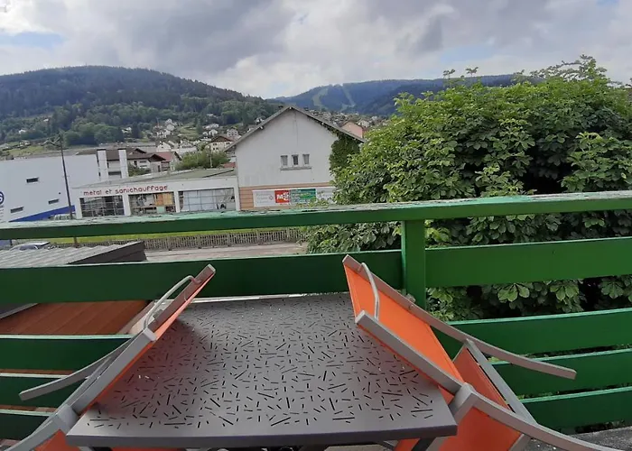 酒店 德拉鲁特维特酒店 2*