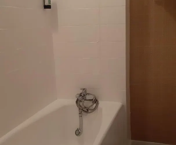 德拉鲁特维特酒店 酒店 2*