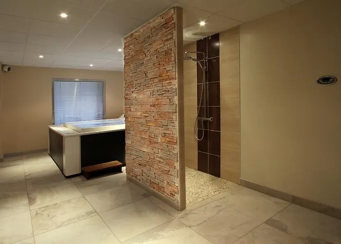 酒店 德拉鲁特维特酒店