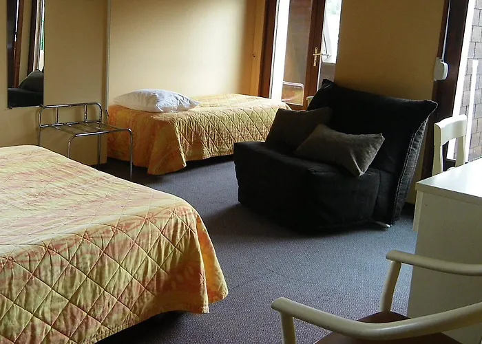 德拉鲁特维特酒店 2*